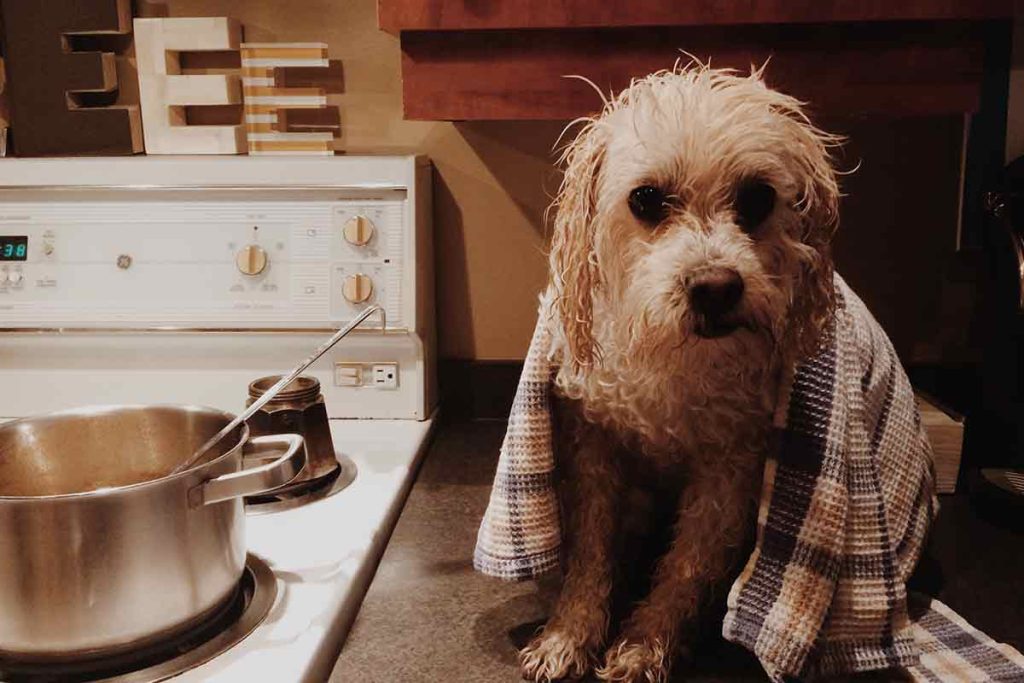 Adjuk el a padlast – 26. történet –  sóhaj